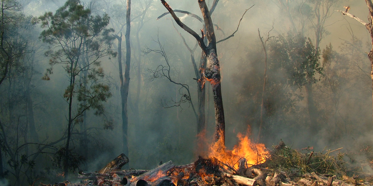 Climate change impacts on bushfires adaptnsw